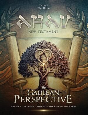 AHAV New Testament: Volume 1: The Bible Paperback – April 10 2026